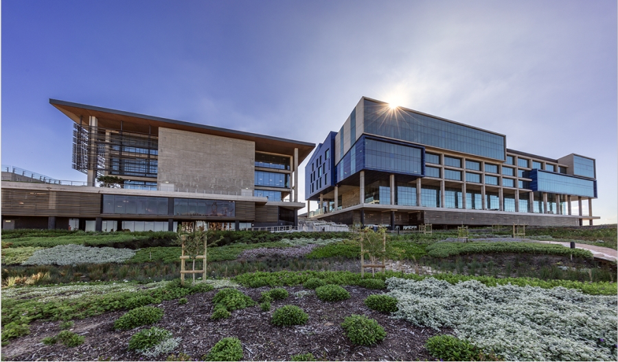 To Let Commercial Property for Rent in Observatory Western Cape